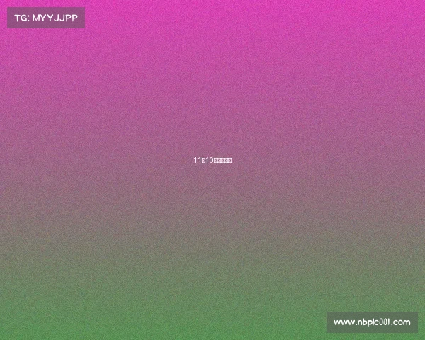 11月10日体育赛事