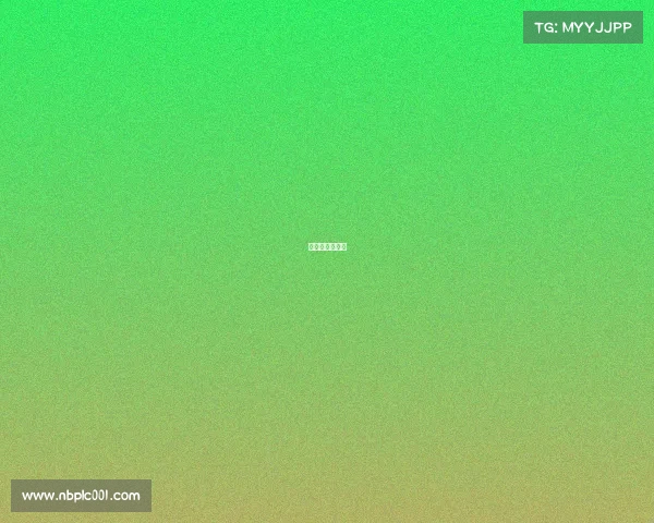 主要的足球比赛